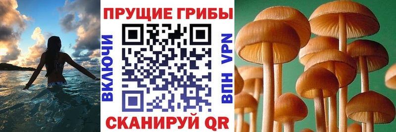 Галлюциногенные грибы GOLDEN TEACHER  МЕГА как войти  это клад  Перевоз 